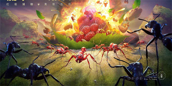 关于昆虫的游戏