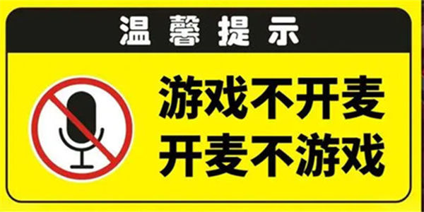 不开麦的游戏