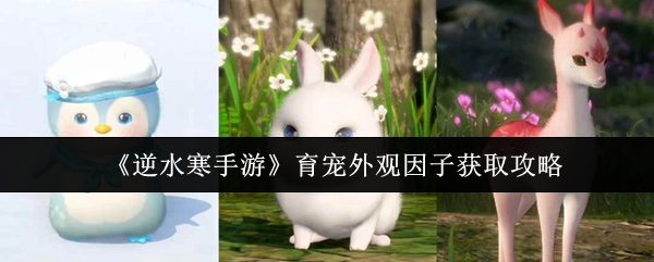 探索神秘世界：深入了解热门电子游戏的魅力