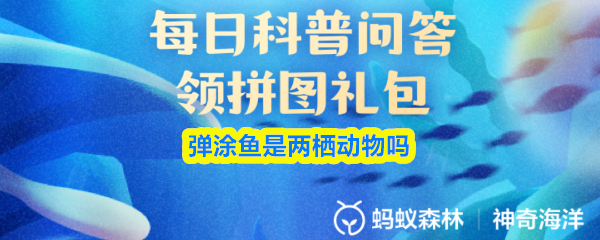 探索《神秘冒险：魔法世界》的精彩游戏体验