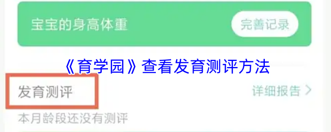 探索虚拟冒险世界的魅力