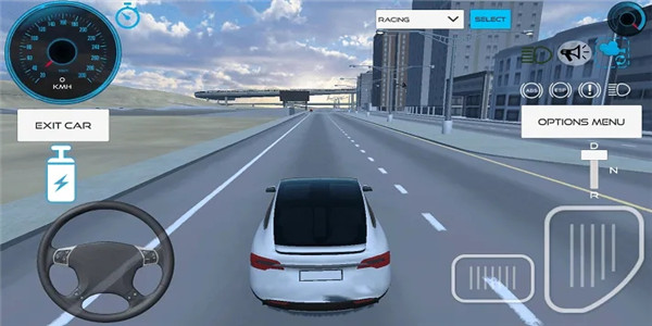 城市自由开车的游戏