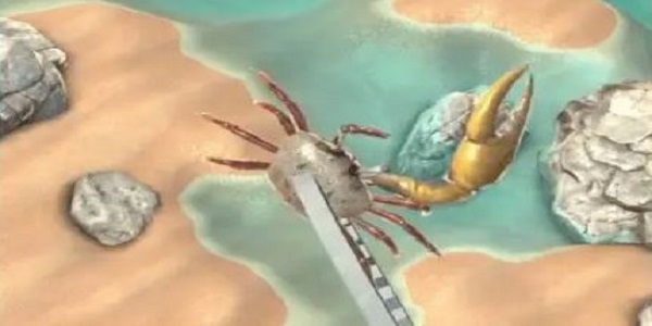 真实赶海的游戏