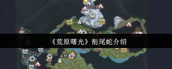 探索游戏世界：发现新奇与乐趣的旅程