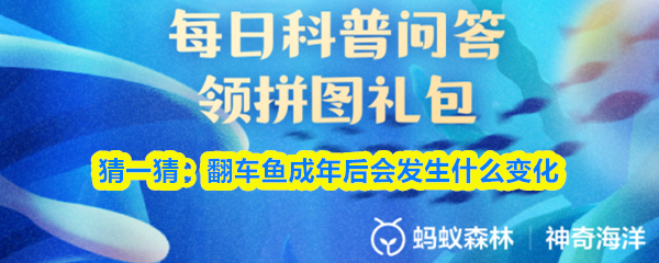 探索虚拟世界：游戏的无限可能