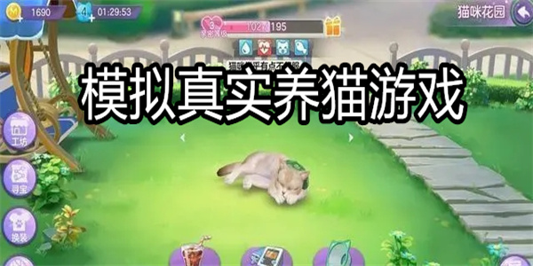 模拟真实养猫游戏