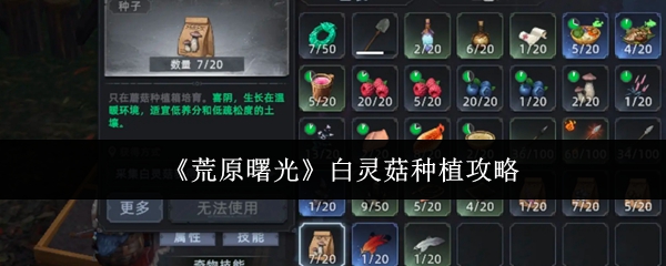 探索神秘游戏世界：一次难忘的冒险之旅