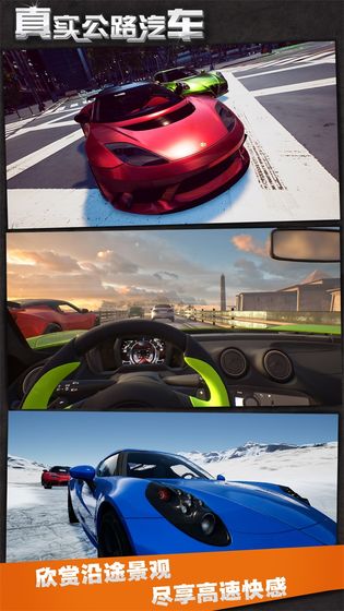真实公路汽车截图0