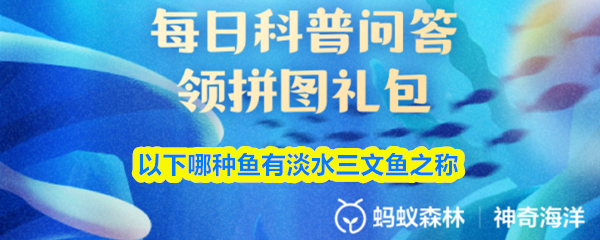 探索未来：虚拟现实游戏的无限可能