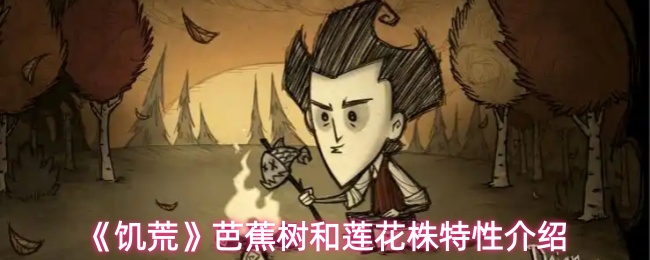 探索《神秘冒险》：揭开游戏世界的奇幻面纱