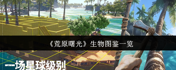 探索游戏世界：震撼冒险之旅