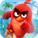 愤怒的小鸟