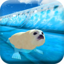 北极动物冻水滑块