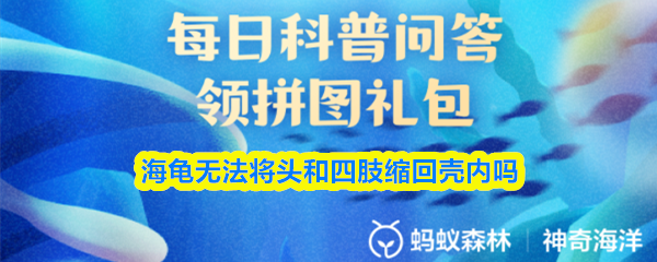 探索神秘世界：一款改变你游戏体验的冒险游戏