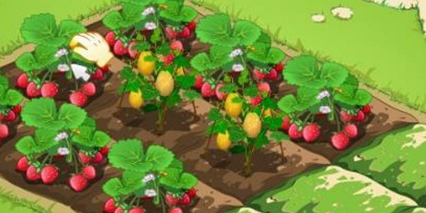 种菜偷菜的游戏