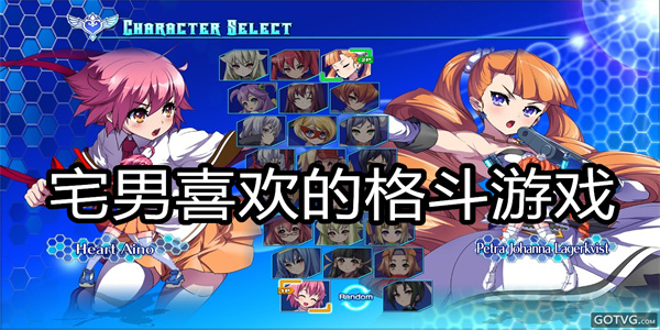 宅男喜欢的格斗游戏